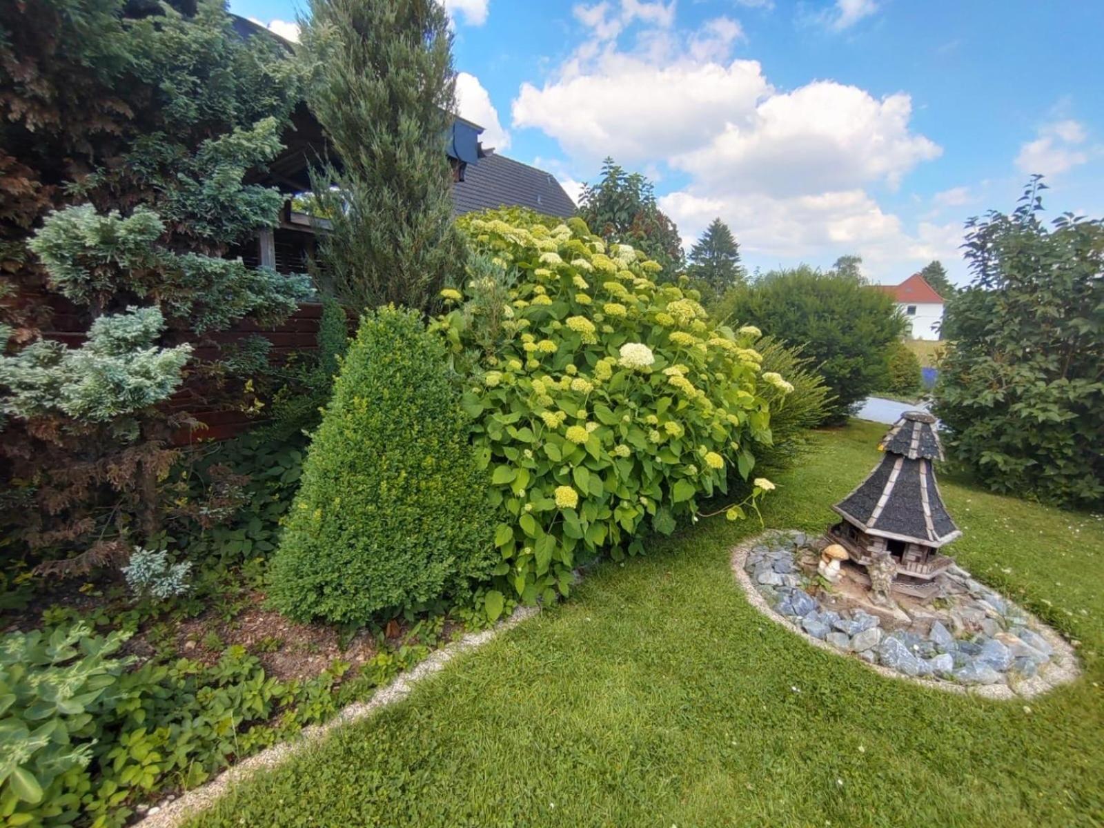 Ferienwohnung Rosa Horn-Bad Meinberg Extérieur photo