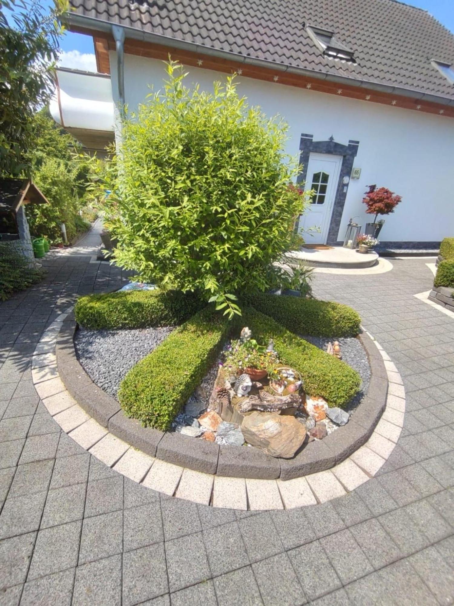 Ferienwohnung Rosa Horn-Bad Meinberg Extérieur photo